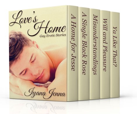 Love's Home Boxset